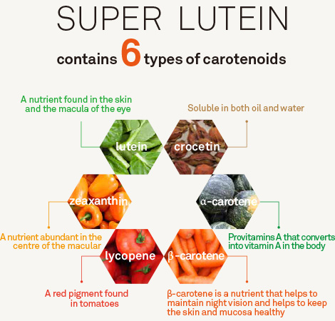 Formula Super Lutein Products Naturally Plus
