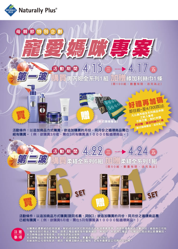 母親節特別企劃 - 提案企劃書範本