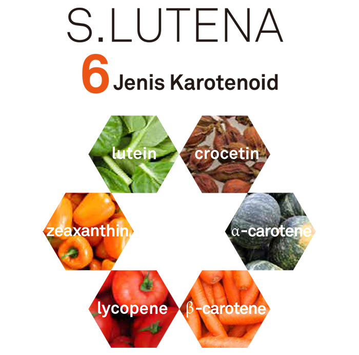 6_essential_carotenoids