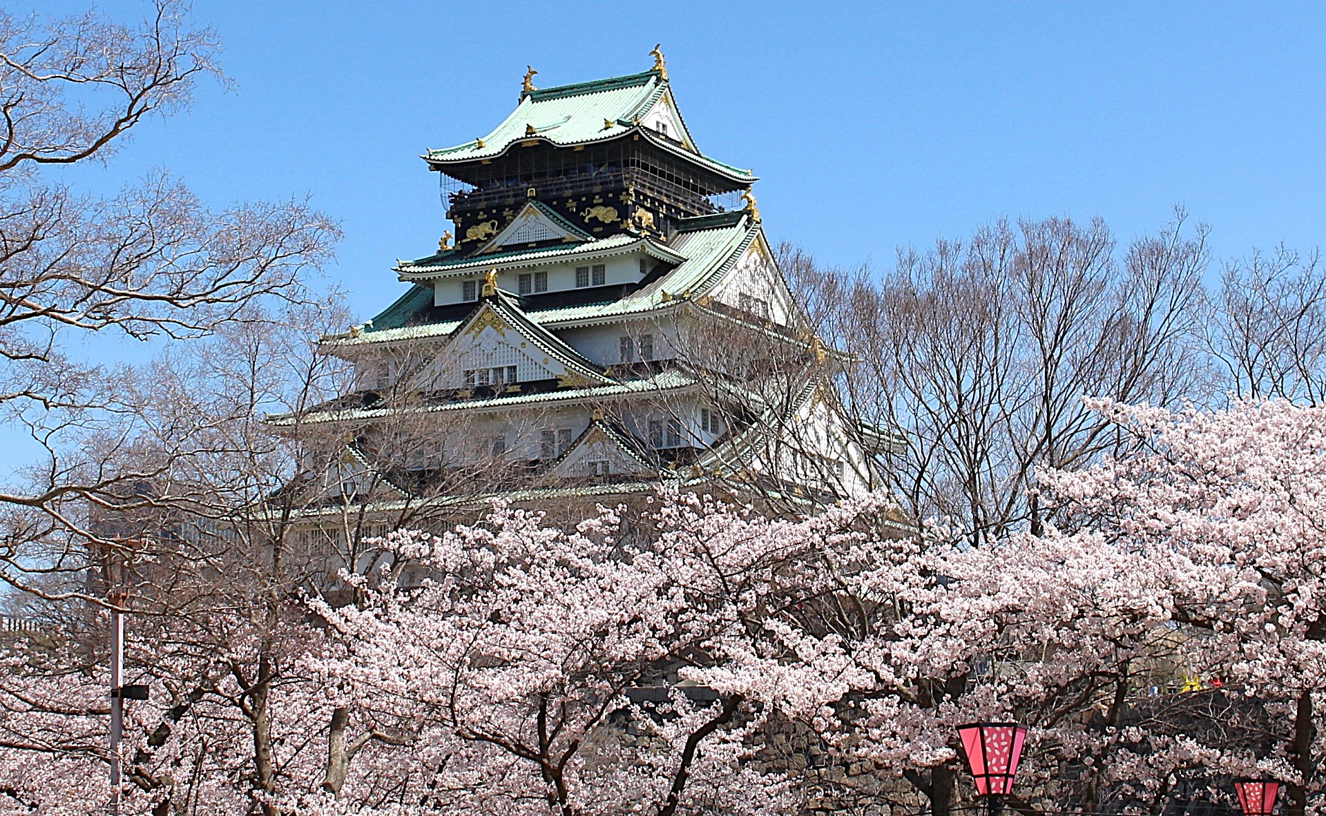 都会のけん騒に咲く桜〜六本木と大阪城、春の華やぎを求めて〜⑤