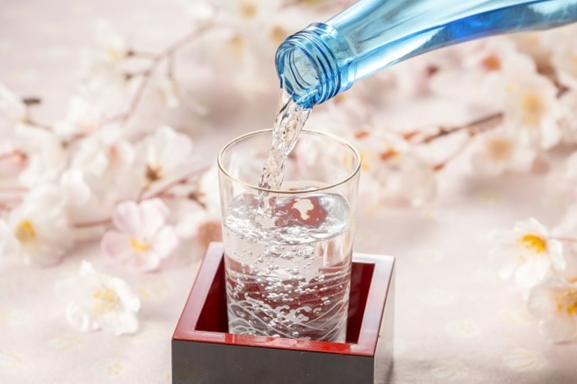 お花見シーズンに知っておきたい！お酒の飲み方②