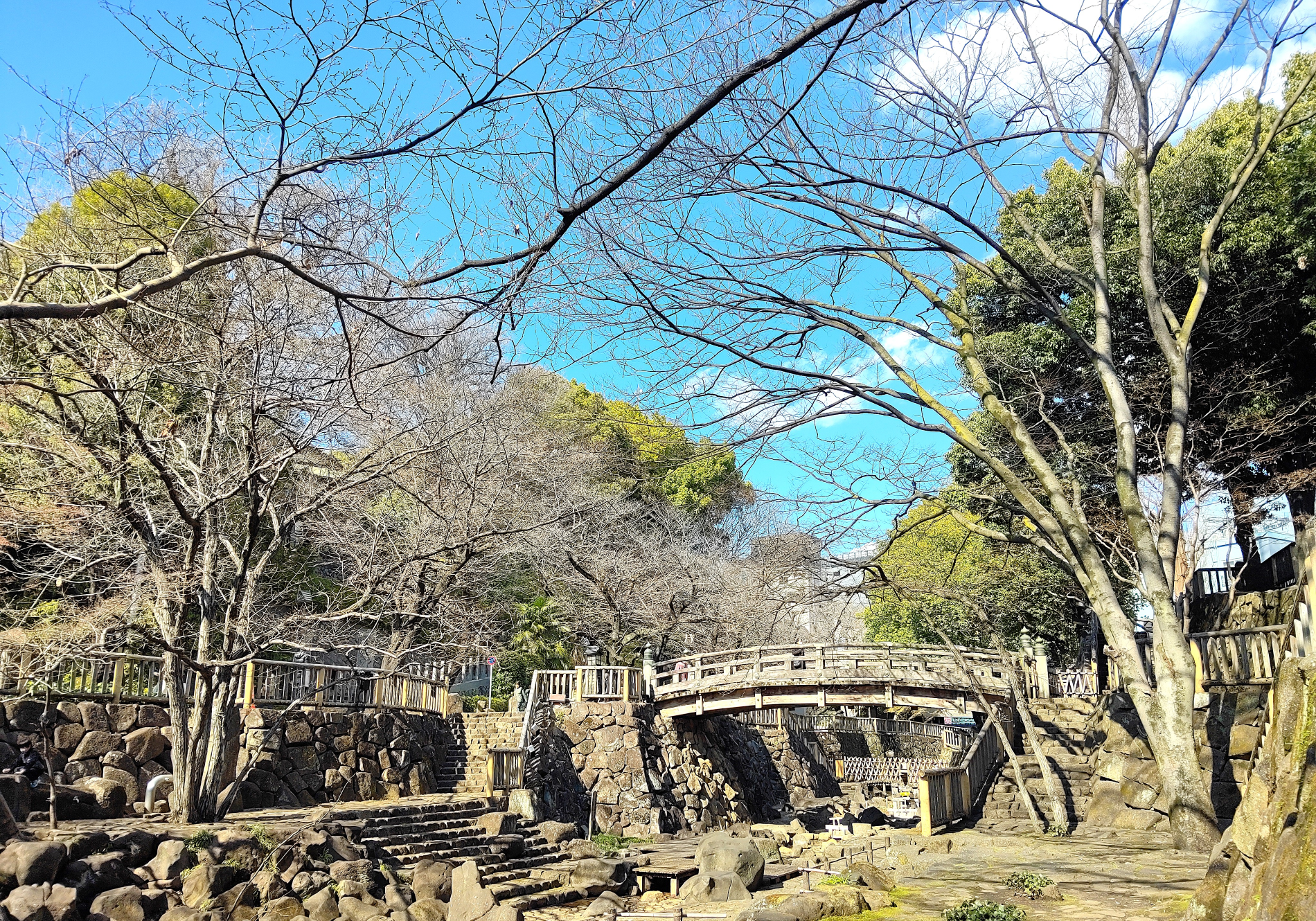 都電に乗って桜見物～東京さくらトラムお勧め桜スポット～⑤