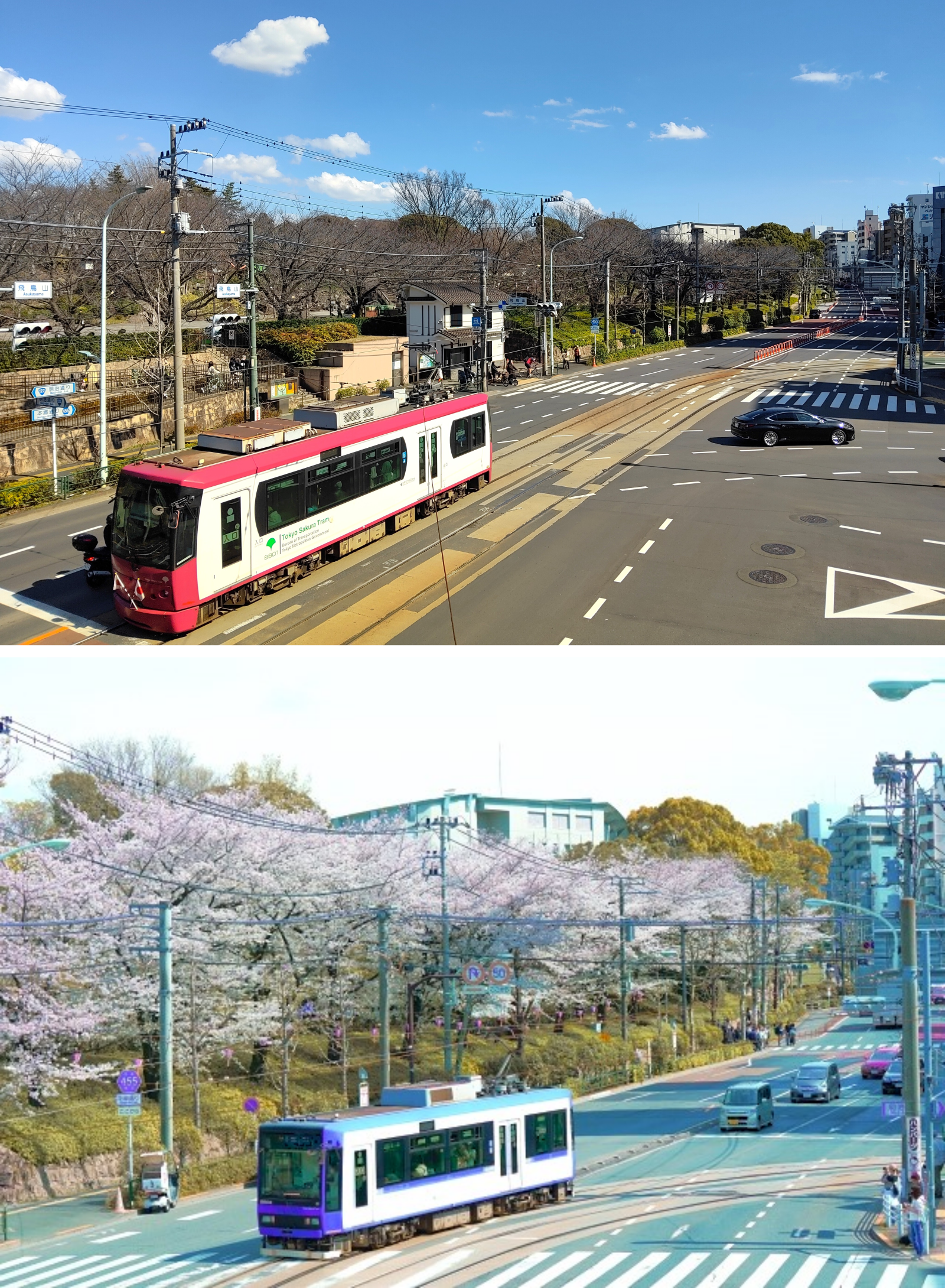 都電に乗って桜見物～東京さくらトラムお勧め桜スポット～⑦