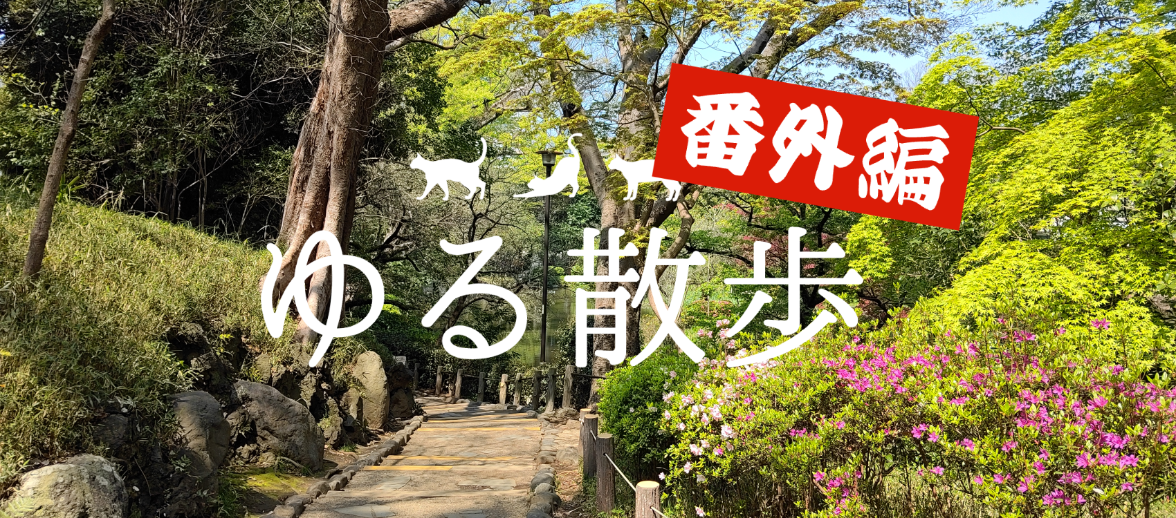 ゆる散歩番外編5月①