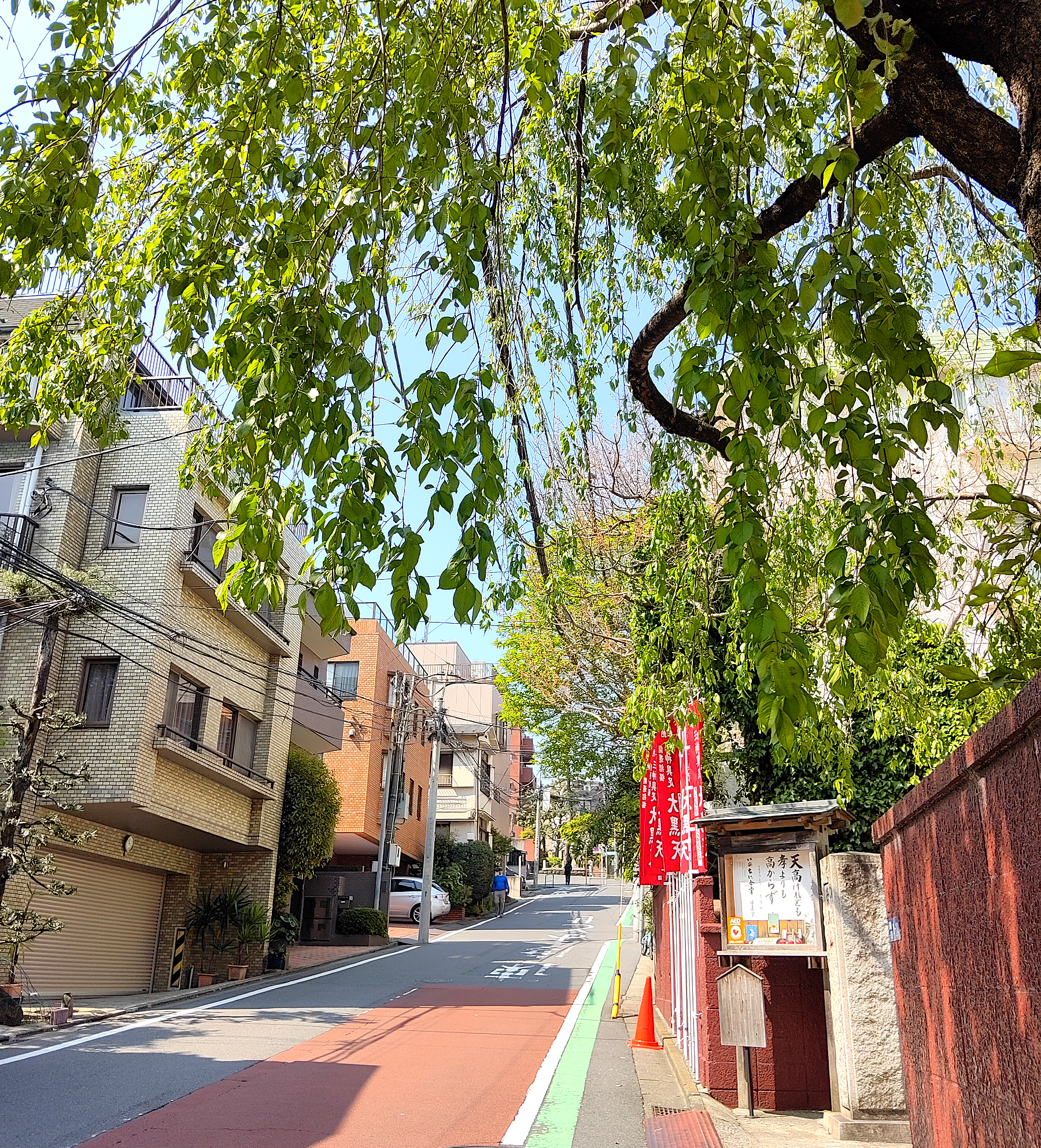 ゆる散歩番外編5月④