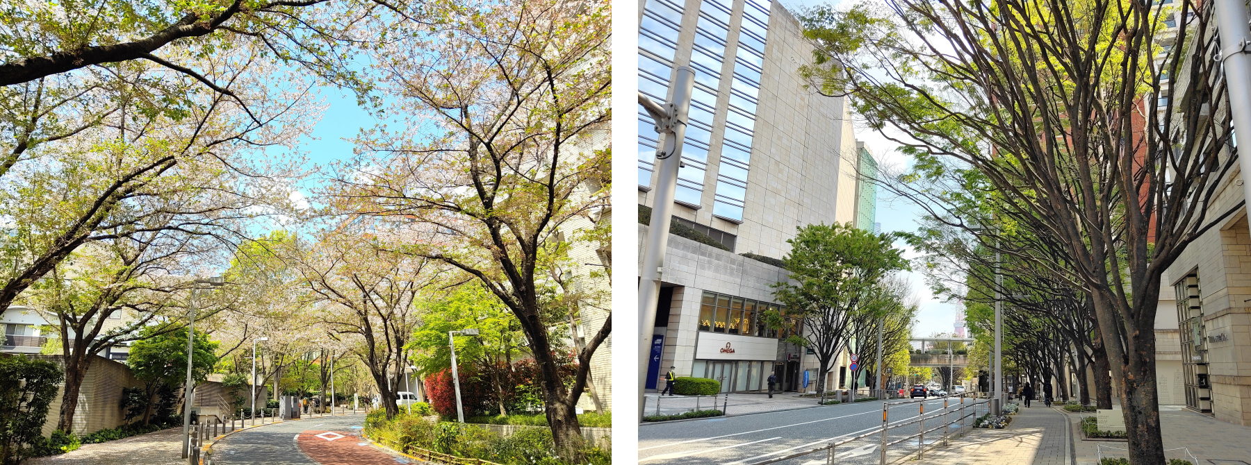 ゆる散歩番外編5月⑧