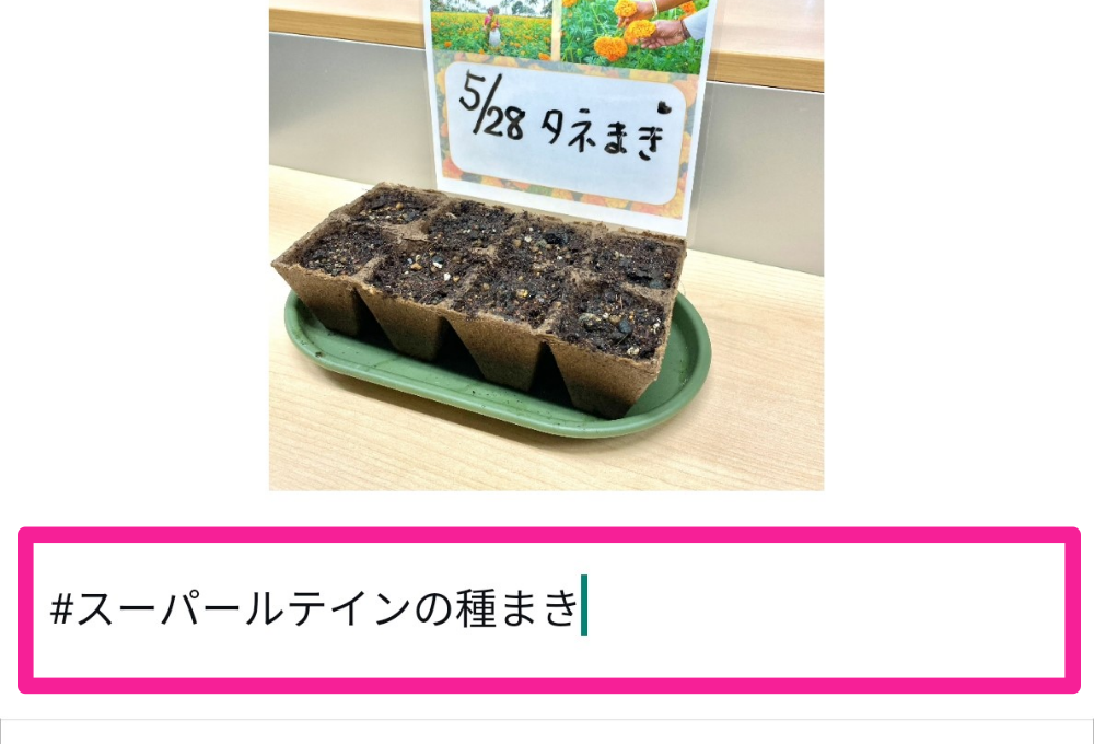 ★オススメ★Instagramキホンのキ～ハッシュタグって何？～⑩
