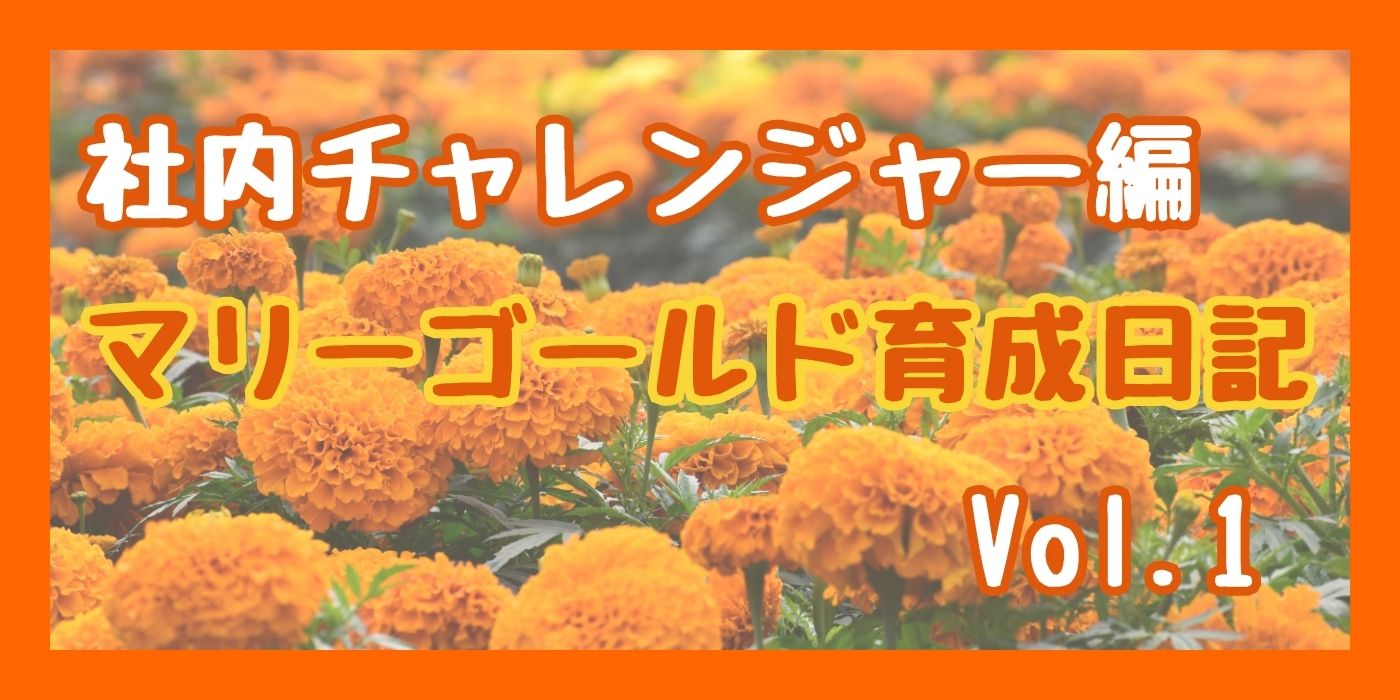 育成日記 社内チャレンジャー編 Vol.1①