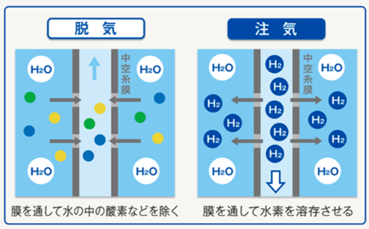 “飲んで”潤う、サマーチャージ！「IZUMIO」「OLEMIO」クイズ③