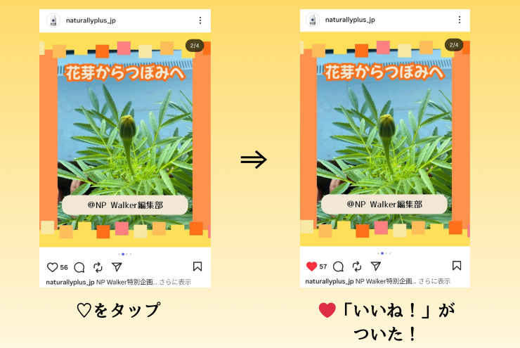 Instagramキホンのキ～「いいね！」を送ってみよう♪～④