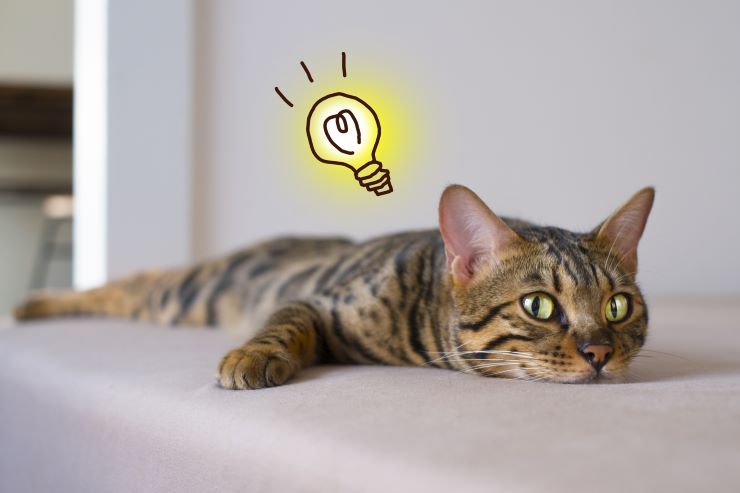 あなたはもう使ってる?ChatGPTのある暮らし②