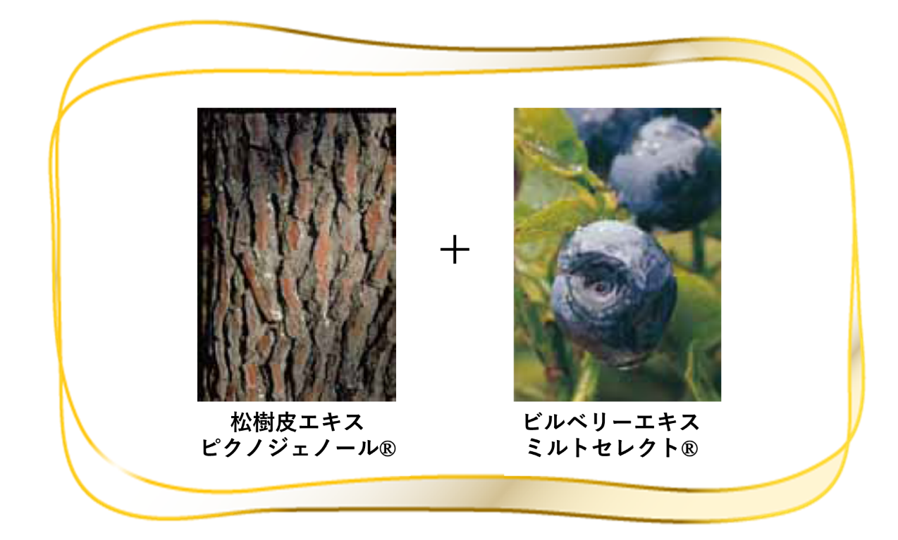 「スーパー・ルテイン ミルトプラス」クイズ③