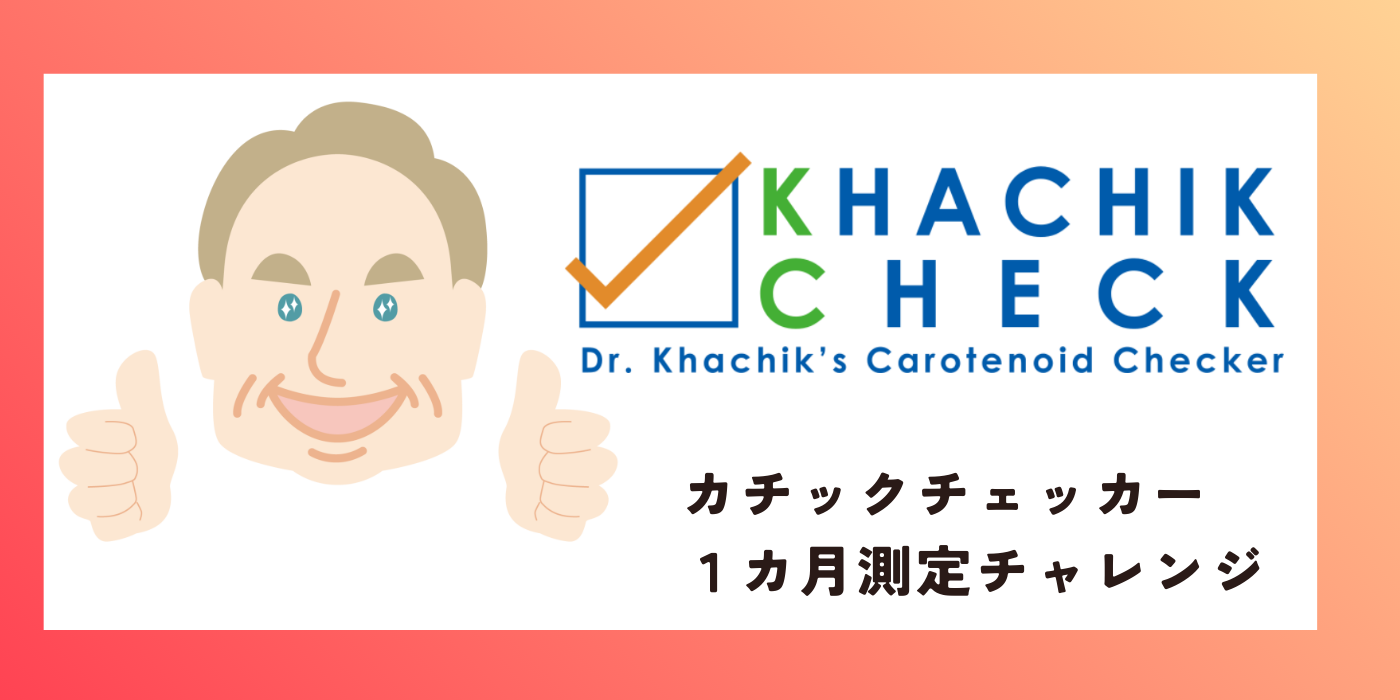 カチックチェッカー振り返り①