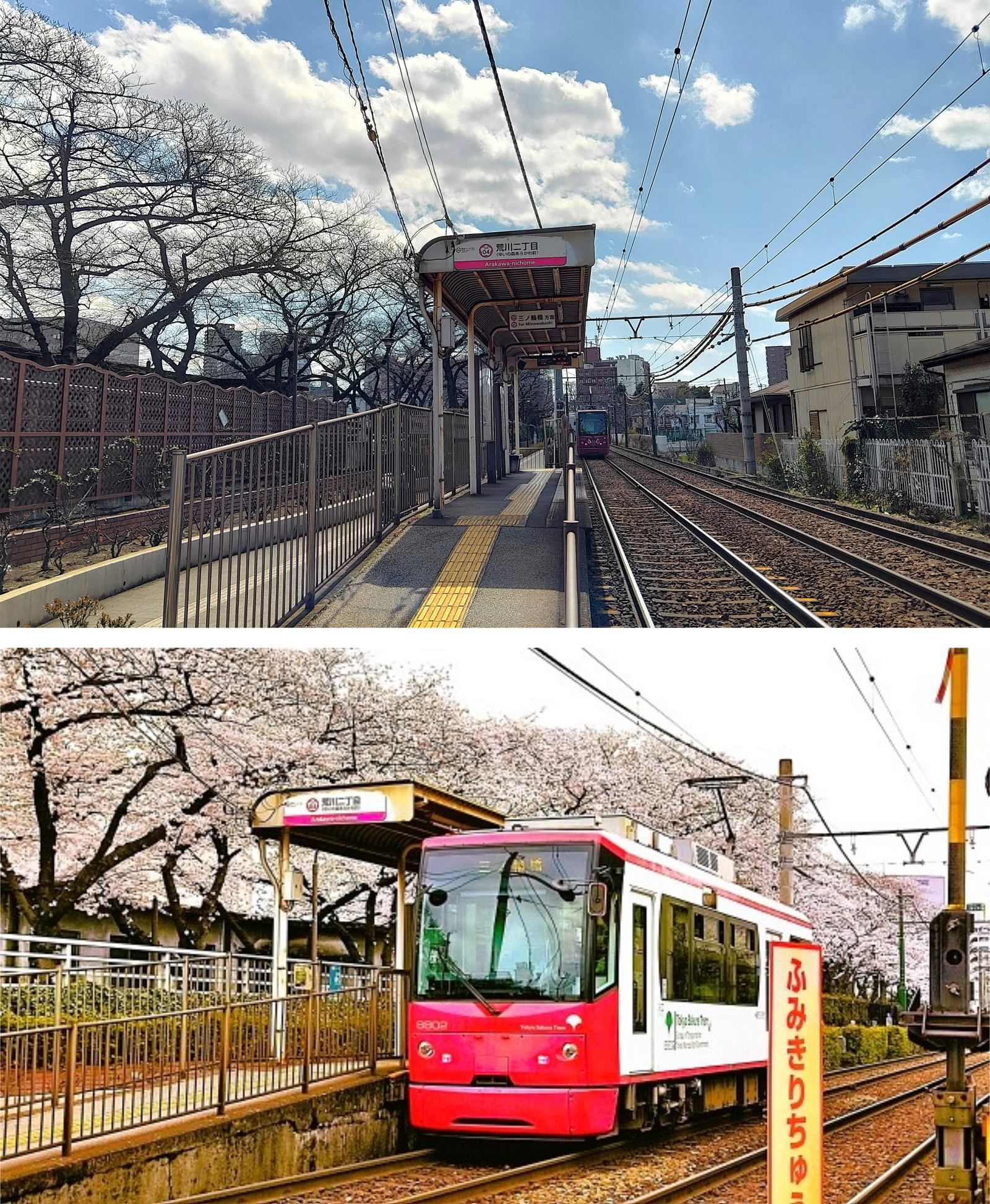都電に乗って桜見物～東京さくらトラムお勧め桜スポット～⑩