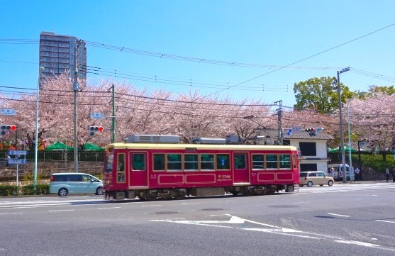 都電に乗って桜見物～東京さくらトラムお勧め桜スポット～⑪