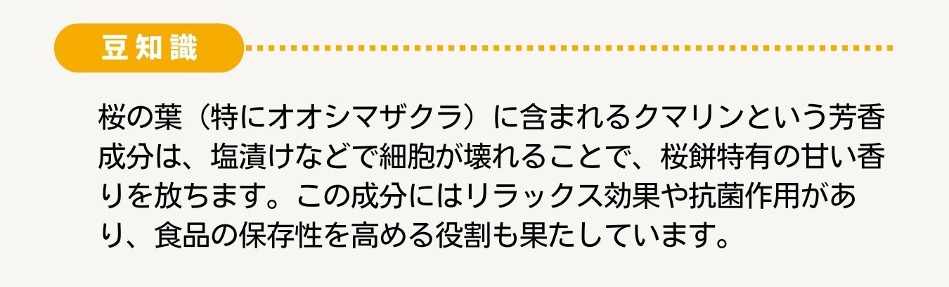 楽しく音読♪言葉遊びで認知症予防 Vol.3