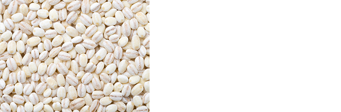 いま話題の“発酵性食物繊維”とは？