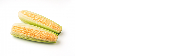 いま話題の“発酵性食物繊維”とは？