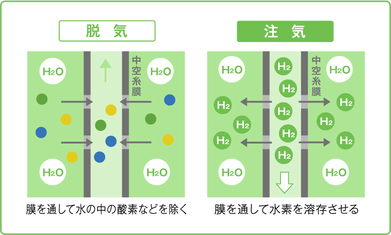 品質管理 | オレミオ | 製品情報 | ナチュラリープラス - グローバル ...