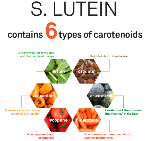 6_essential_carotenoids