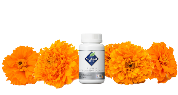 marigold-2