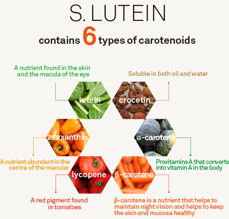 6_essential_carotenoids