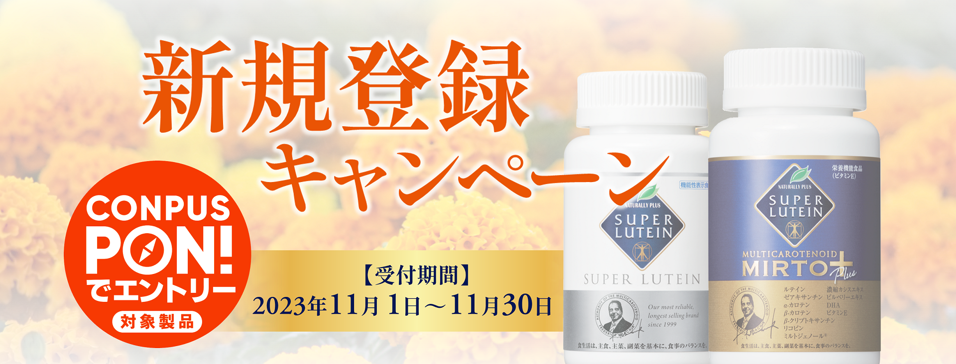 キャンペーン